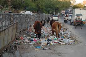 Delhi garbage