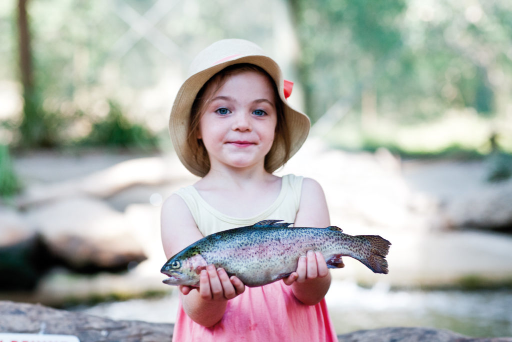 Taste the local delicacies of Rhyll Trout and Bush Tucker