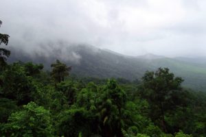 Goa is home to several natural sites such as Mollem National Park
