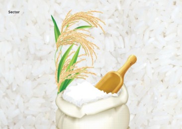Rice Exports Double Whammy for Indian Exports