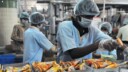 Skills in Food Processing Cultivating Growth
