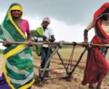 Agriculteurs : le suicide en dernier recours