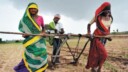 Agriculteurs : le suicide en dernier recours