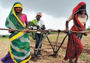 Agriculteurs : le suicide en dernier recours