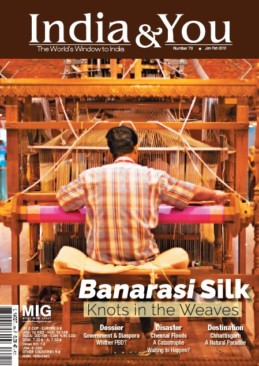 Banarasi Silk Knots in the Weaves