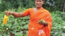Organic Food