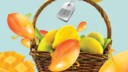 Mango Exports