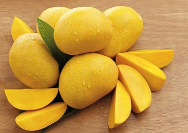 La Mango Mania