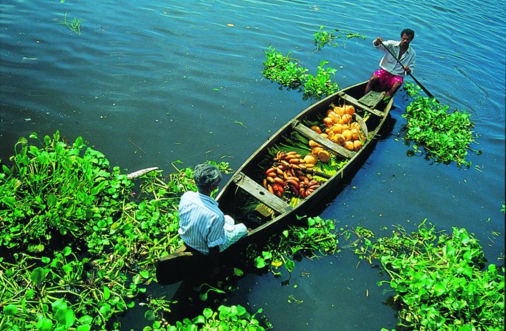 Kerala keeps fascinating international tourists with a plethora of unique tourism products