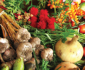Organic Food