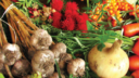 Organic Food