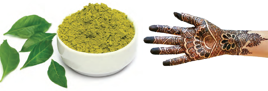 Henna: A Miracle Plant - Media India Group