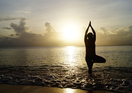 Five Yoga Destinations in India