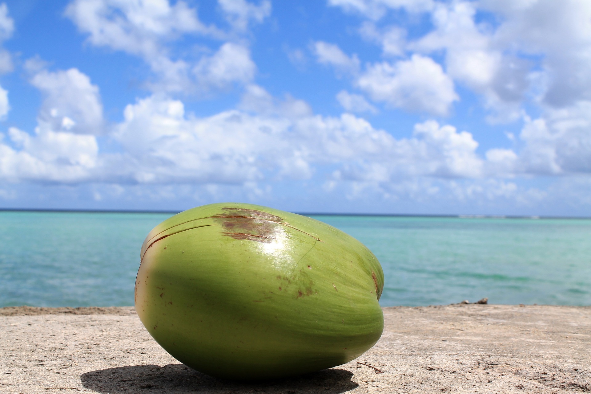 Health benefits of coconut