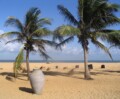 PATA Annual Summit 2017 to be held in Sri Lanka