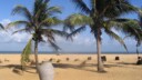 PATA Annual Summit 2017 to be held in Sri Lanka