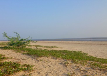 Henry’s Island: A quaint getaway in West Bengal
