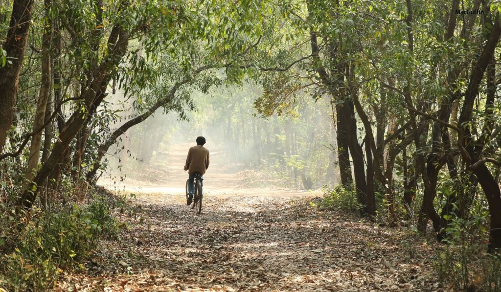 The smoky woods in a scene from A Death in the Gunj