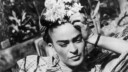 The life and times of Frida Kahlo
