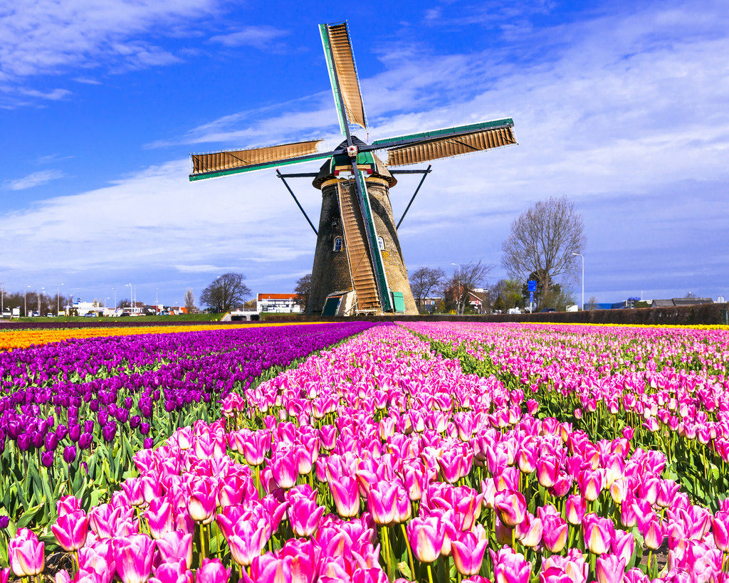 Holland has a separate theme for each of its tourist destinations