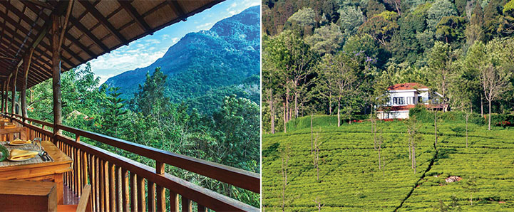 From left to right: Homestays in plantations are inspired by colonial bungalows; A typical view from a homestay in Coonoor; Tea plantations add to the beauty of the landscape