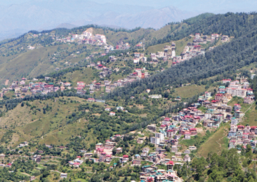 Shimla : At Peace, Amidst All the Action