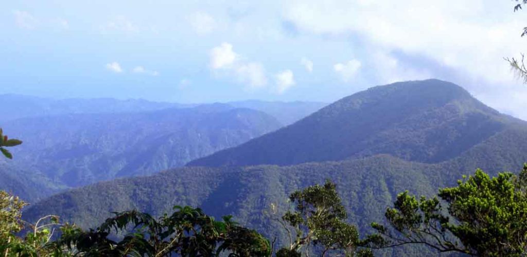 the-blue-mountains-jamaica