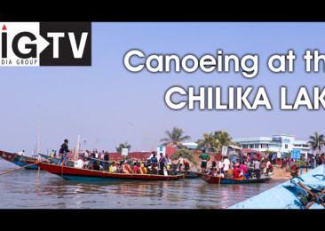 Up and close with the Irrawaddy dolphins