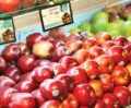 Need for Imported Fresh Produce
