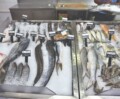 Marine Food Exports
