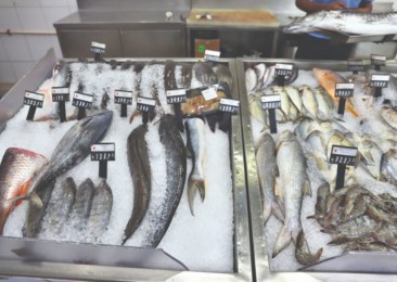 Marine Food Exports
