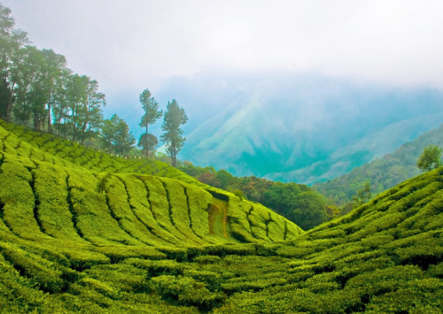 Four destinations to visit during monsoons in south India