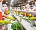 Indo-French Food Processing Ties