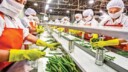 Indo-French Food Processing Ties