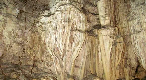 The walls and ceilings of the Caves have intricate patterns if observed carefully