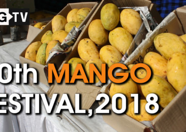30th Mango Festival 2018