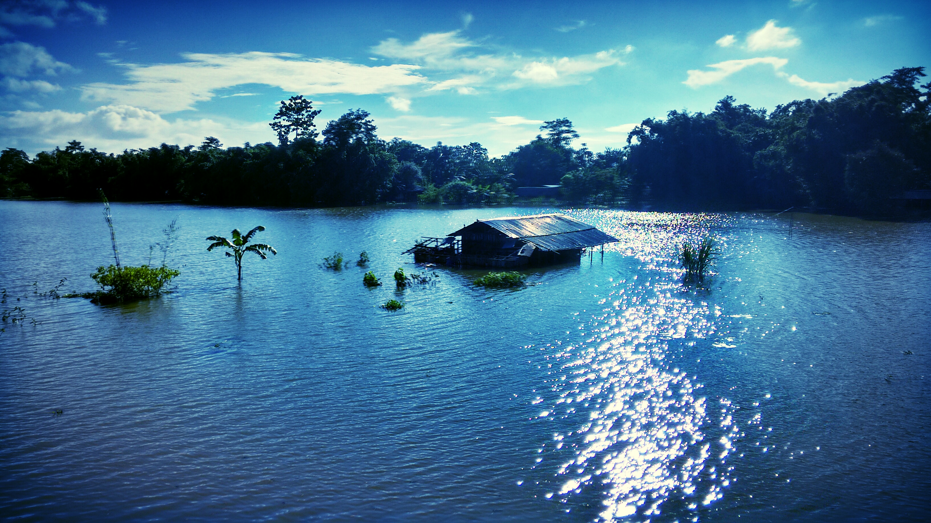 Assam floods, circa 2015