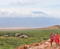 Wild and free amidst the Masaai