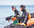 Would You Dive Deep into the Sea without Oxygen?