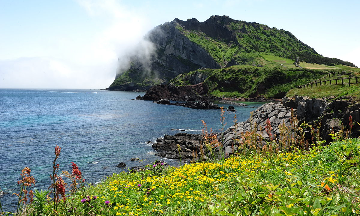 The scenic beauty of Jeju Island.