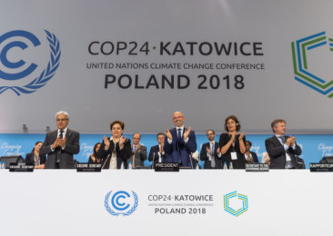 Looking back at COP24