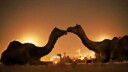Un enriquecedor viaje a Pushkar