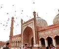 Le Delhi des écrivains