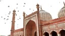 Le Delhi des écrivains