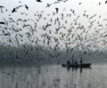 Promenade matinale sur les bords de la Yamuna