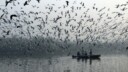 Promenade matinale sur les bords de la Yamuna