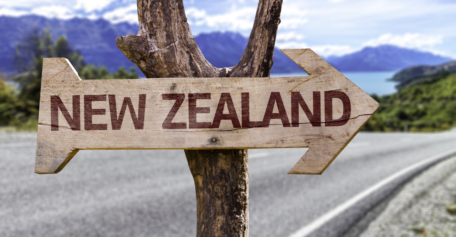 new-zealand-immigration-advisers-and-lawyers