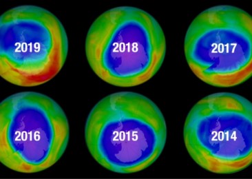 On World Ozone Day 2020, relearning forgotten lessons from past global success for COVID19