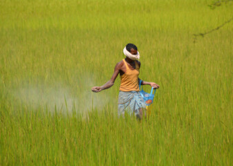 Farm talks at WTO continue to undermine Indian farmers