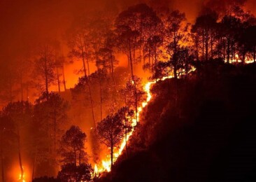 India witnessing a frenzy of forest fires in 2021